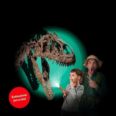 Noc plná zážitků v Dinosauria Museum Prague