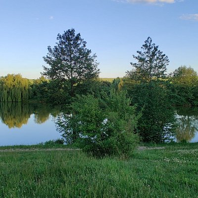 Zichovecký rybník